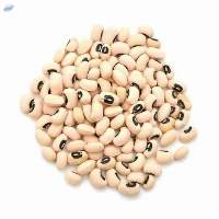 Cowpea