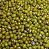 Green Gram/Mung Bean