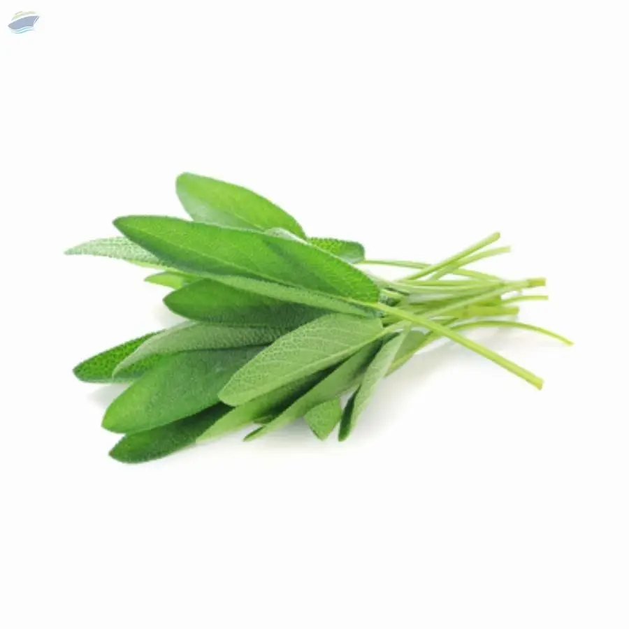 Sage