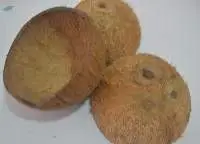 Coconut Shell