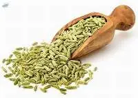Fennel Seeds