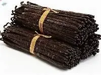 Vanilla Beans Gourmet  Madagascar