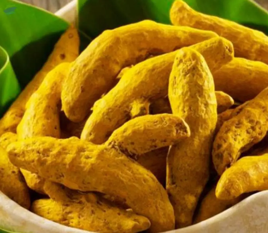 Turmeric Whole