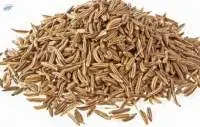 Cumin Seeds-Whole
