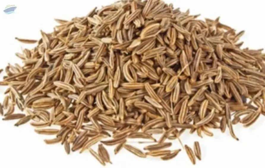Cumin Seeds-Whole