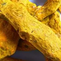 Dry Turmeric