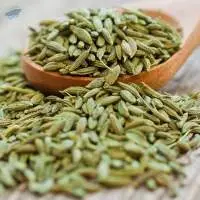 Fennel Seeds