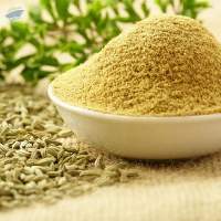 Fennel Seeds Powder