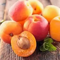 Apricot