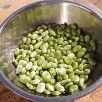 Fava Beans