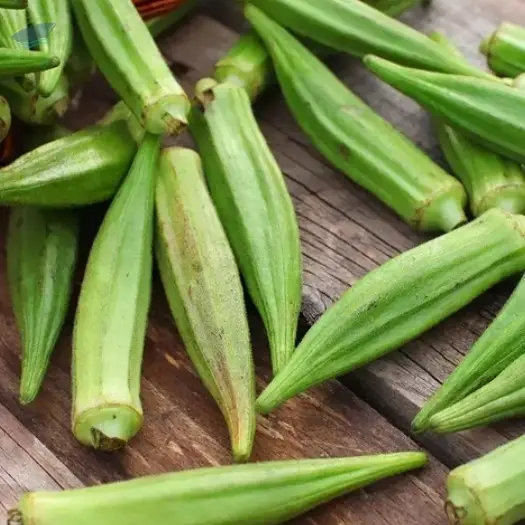 Okra