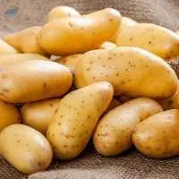 Potato