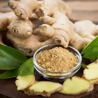 Ginger