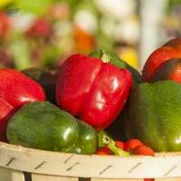 Bell Pepper