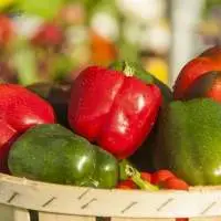 Bell Pepper