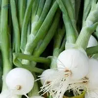 Spring Onions