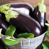 Brinjal