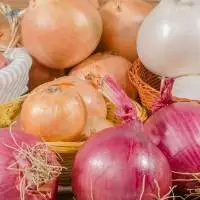Onion
