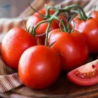 Tomato