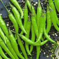 Green Chilli