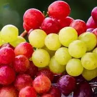 Grapes