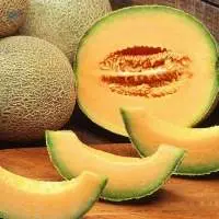 Muskmelon