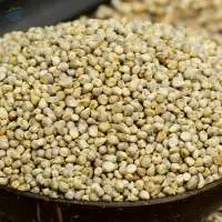 Whole Pearl Millet (Bajri)
