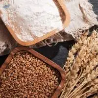 Wheat Tukdi Powder