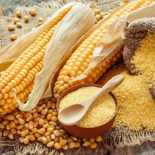 Maize
