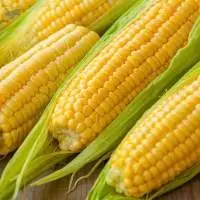 Corn