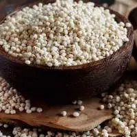 Jowar (Sorghum)