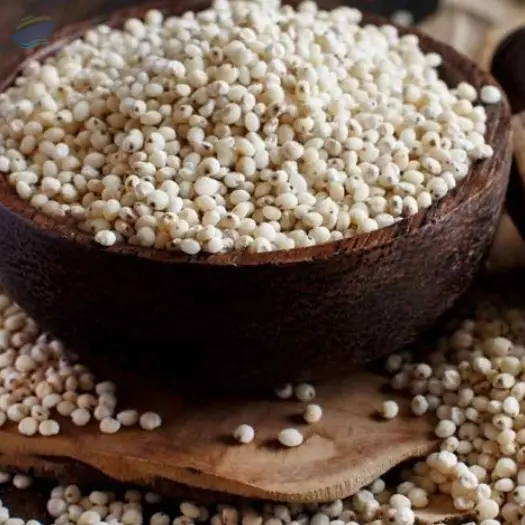 Jowar (Sorghum)