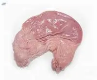 Frozen Pork Stomach