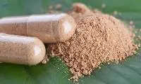 Iboga Root Bark Powder  