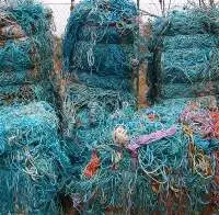 Nylon (polyamide - PA) Fishnet Scrap / Waste