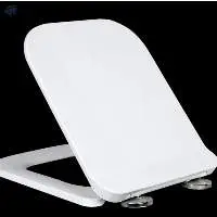 Toilet Lid