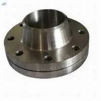 SS Weld Neck Ring Flange