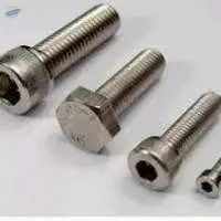 Stainless Steel Bolt