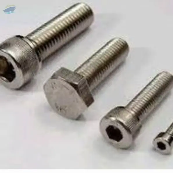 Stainless Steel Bolt
