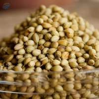 Coriander Seed