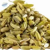 Fennel Seed