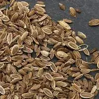 Dill Seed