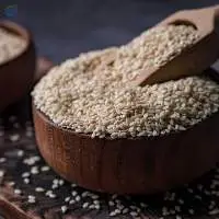 White Sesame Seed