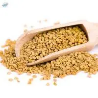 Fenugreek Seeds