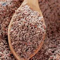 Psyllium Seed