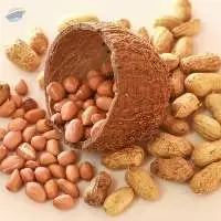 Peanuts
