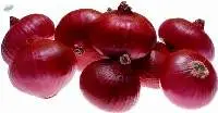 Onion (Fresh)