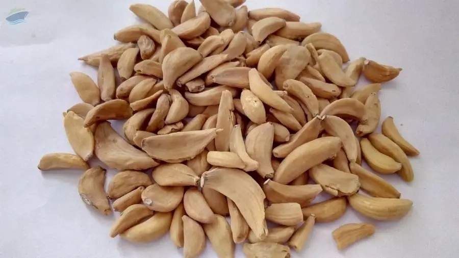 Garlic Flakes