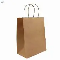 Loop Handle Bags