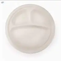 Takeout Trays